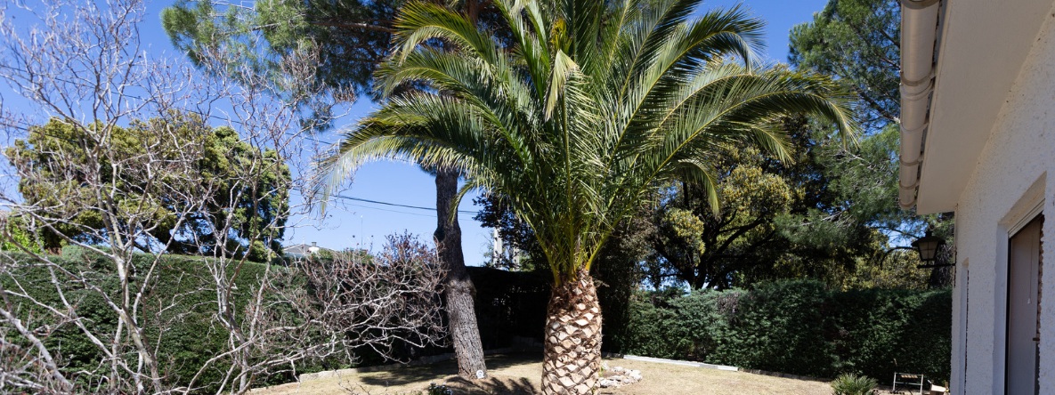 20230731_210854_0001