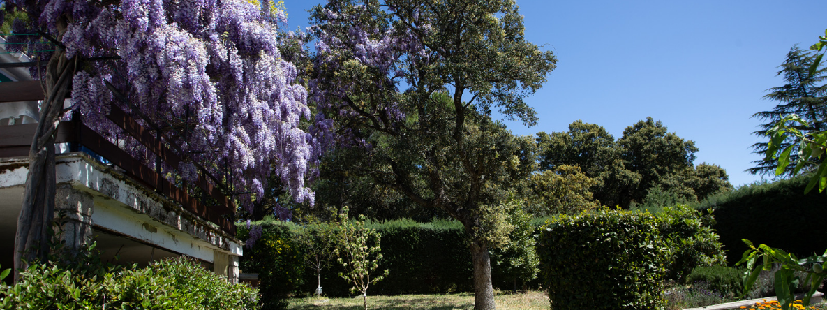 20230731_210854_0006